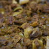 Bowl/Plate - Curried Goat - Image 2